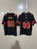 NFL San Francisco 49ers Jerry Rice Nike Alternate Lights Out Jersey
